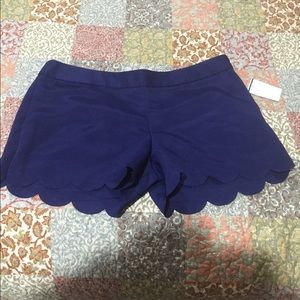 Dressy shorts