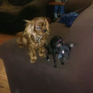 Meet your Posher, Beth