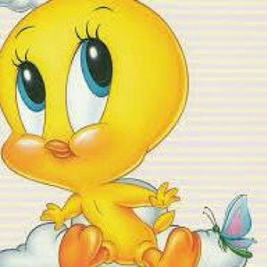 Meet your Posher, Erika