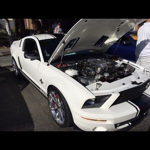 Meet your Posher, Antonio