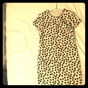 J.Crew polka dot dress