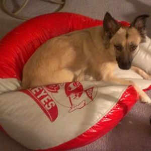 Meet your Posher, Karen