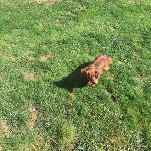 Meet your Posher, Sheila