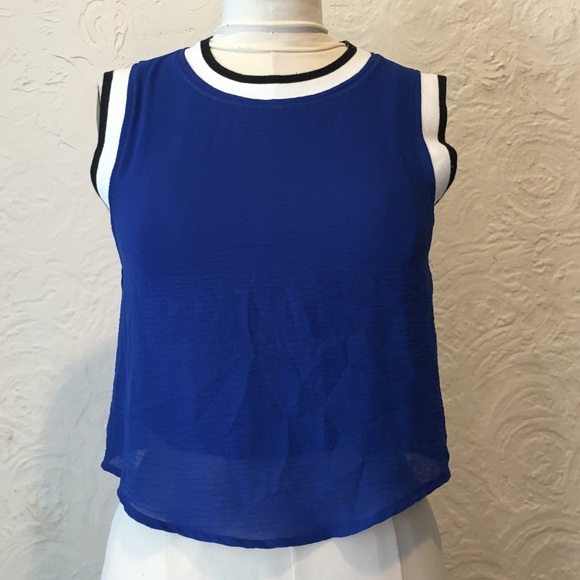 Silence and Noise Royal Blue Crop Top