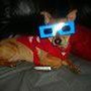 Meet your Posher, Marisa