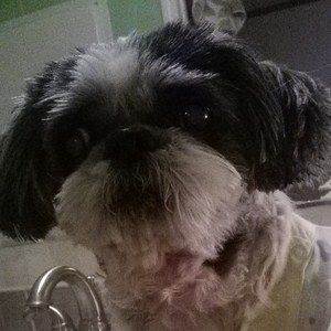 Meet your Posher, Deborah