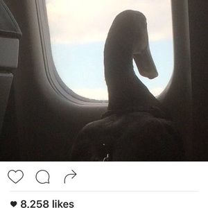 Meet your Posher, Jared