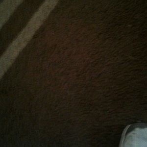 Meet your Posher, Doris