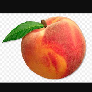 Meet your Posher, Elyse