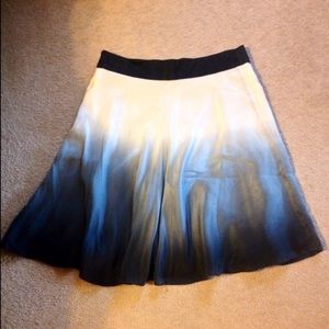 The limited skirt