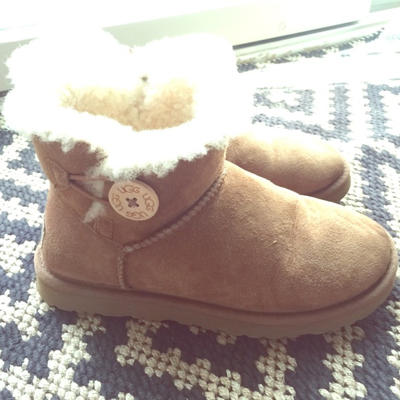 Short Bailey Button Chestnut Uggs!