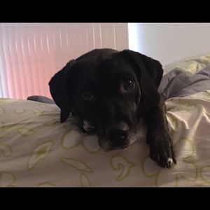 Meet your Posher, Karen