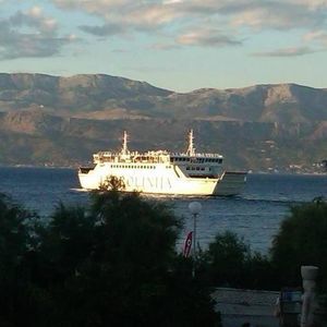 Meet your Posher, Janice