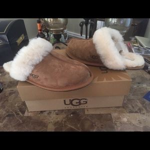 Uggs Scuffette Slippers