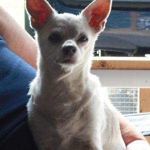 Meet your Posher, Nancy