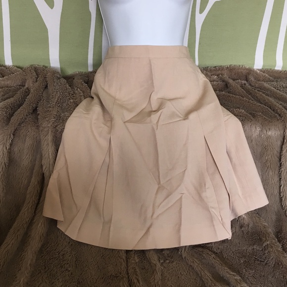 Classy EXPRESS Blush Wool Pleats Knee Length Skirt