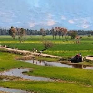 Meet your Posher, Muhammad usman