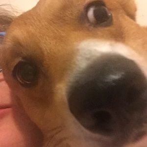 Meet your Posher, Caitlin