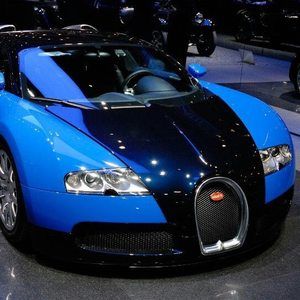 Meet your Posher, Gary