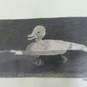 Meet your Posher, Alexandra