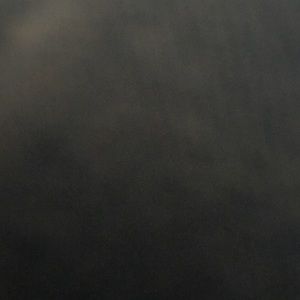 Meet your Posher, Boykin