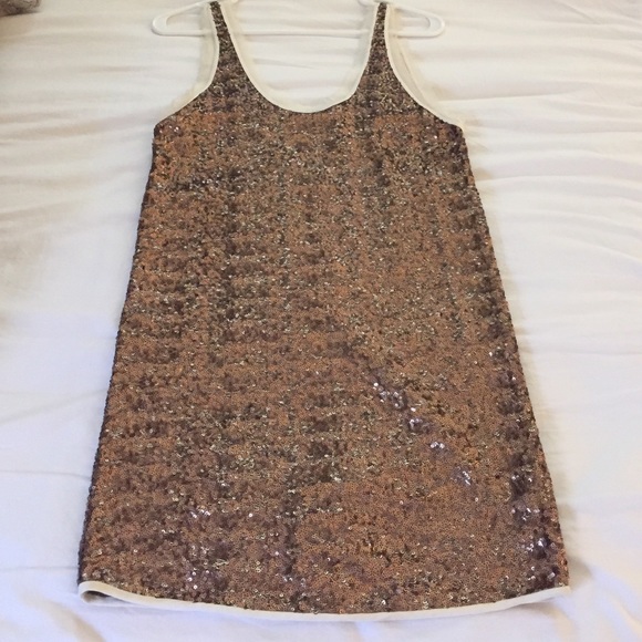 Aritzia Wilfred equin dress