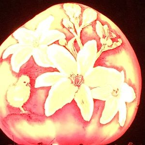 Meet your Posher, Elsa