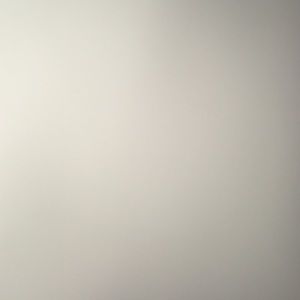 Meet your Posher, Cassidy