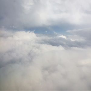 Meet your Posher, Brooks