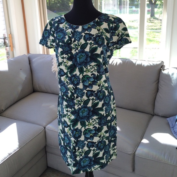 Printed shift dress from Loft