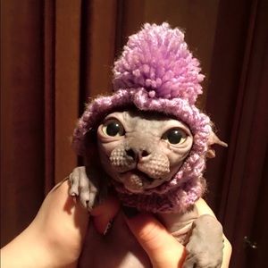 Meet your Posher, Isabella