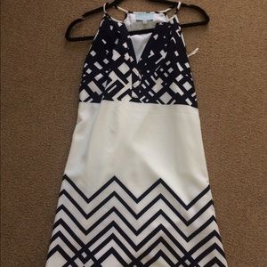 Skies Are Blue Shift Dress