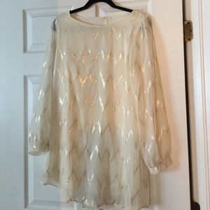 Everly Light Dress with Sheer Sleeves