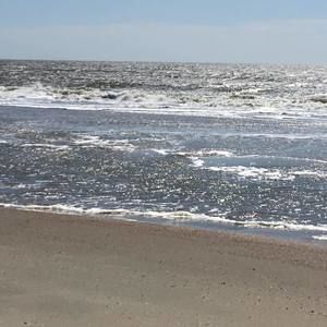 Meet your Posher, Lynne