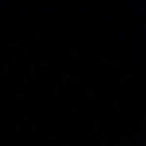 Meet your Posher, Randi