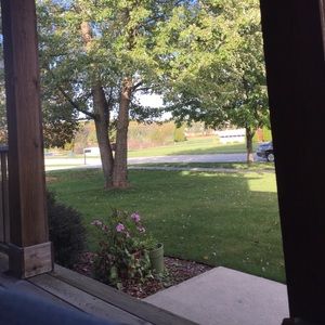 Meet your Posher, Luke