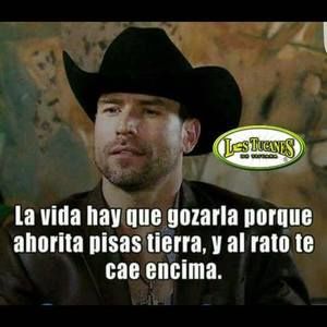 Meet your Posher, Everardo