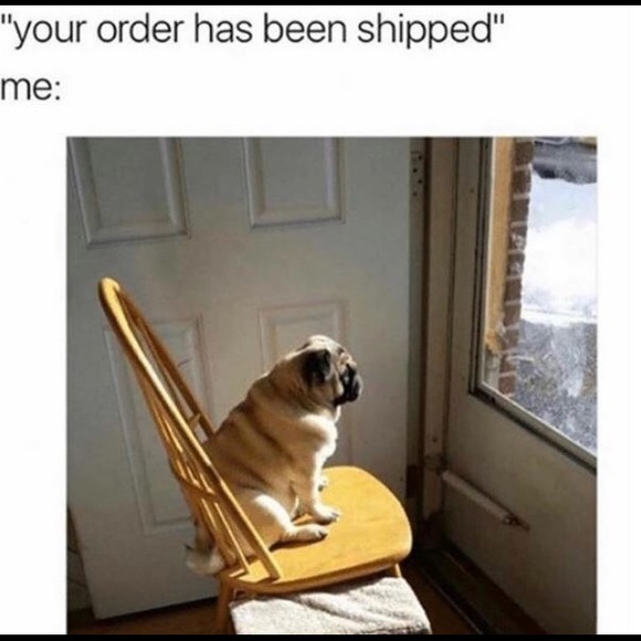 Meet your Posher, Ixchel - Picture 4 of 4