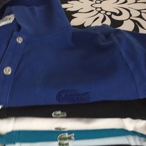 Lacoste polo
