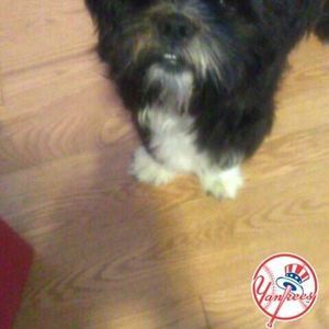 Meet your Posher, Kathy