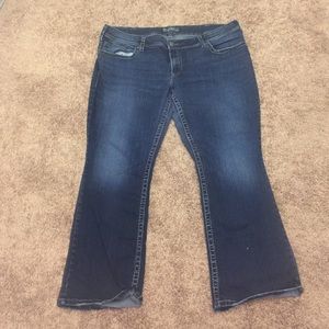 Silver Suki SUPlus sz 22/30 Jeans