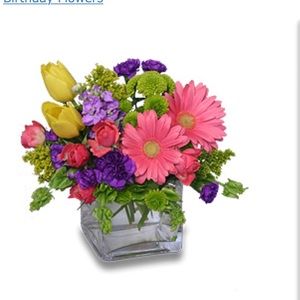 Meet your Posher, Jamie