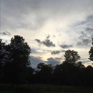 Meet your Posher, Kieran