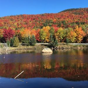 Meet your Posher, Teresa