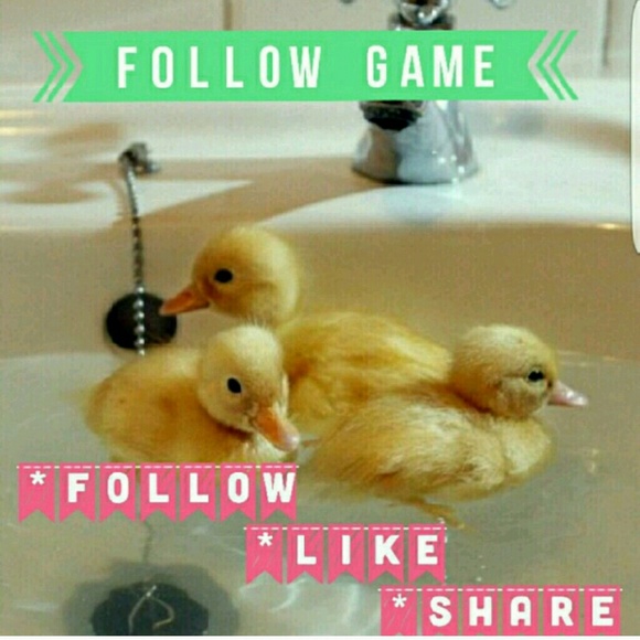 THE FOLLOW GAME