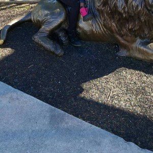 Meet your Posher, Latricia