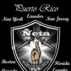 Meet your Posher, Edwin