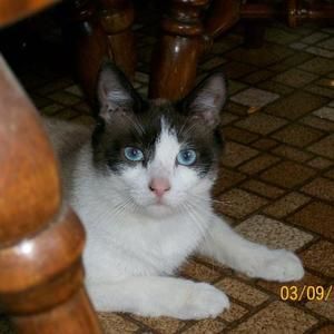 Meet your Posher, Tara