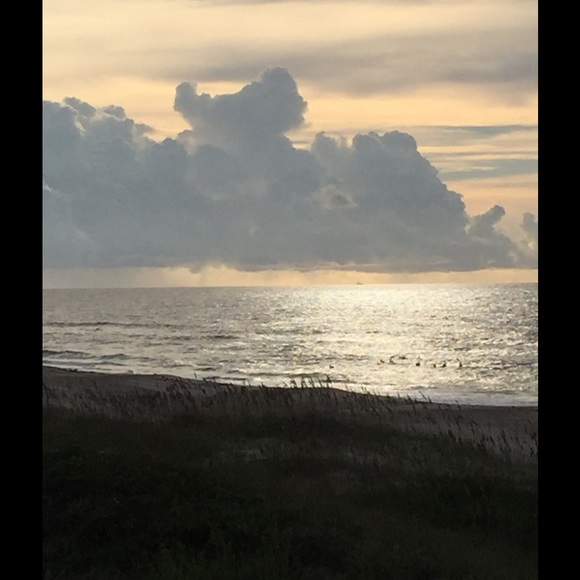 Meet your Posher, Kris - Picture 1 of 1