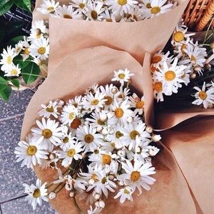 Meet your Posher, Maryam